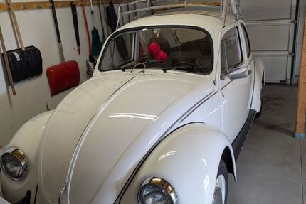 VW Käfer 76.435 km 10.500 &euro; Rennerod 56477