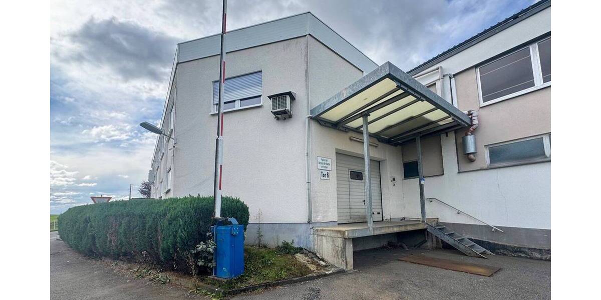 Gewerbeobjekt Wissen VG - 700&euro; | Angebot:25836761