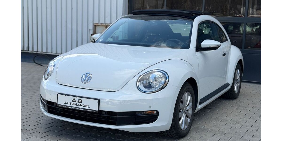VW Beetle 100.600 km 9.690 &euro; Wilden (Siegerland) 57234