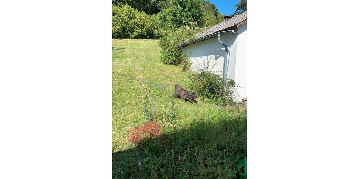 Einfamilienhaus Dillenburg Donsbach - 125.000&euro; | Angebot:25422737