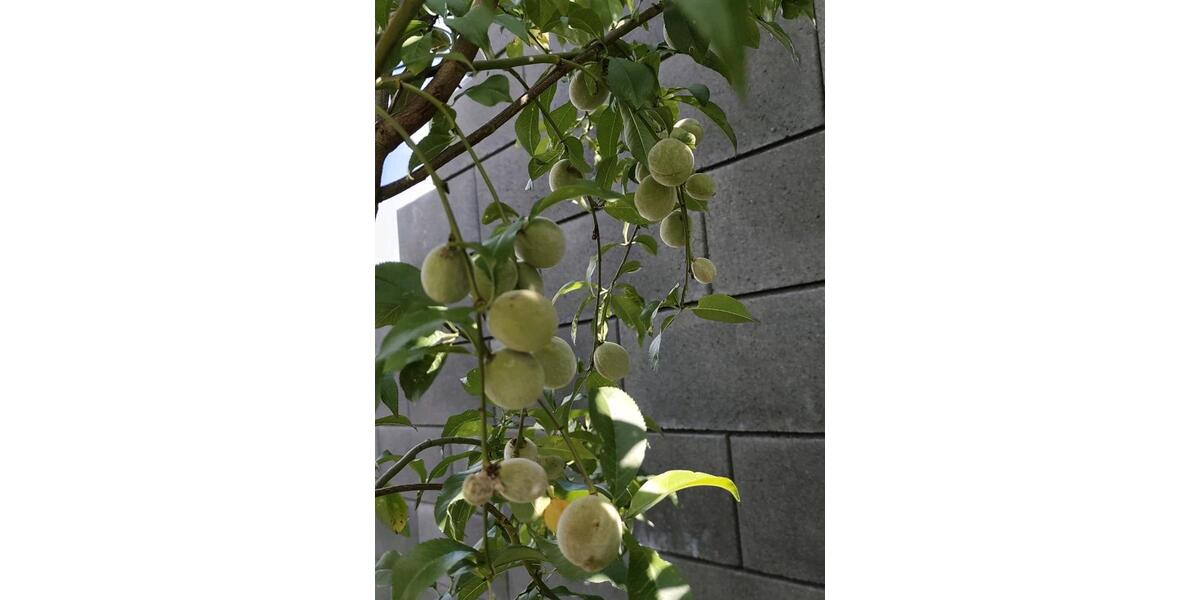 Bungalow Rennerod - 510.000&euro; | Angebot:24782884