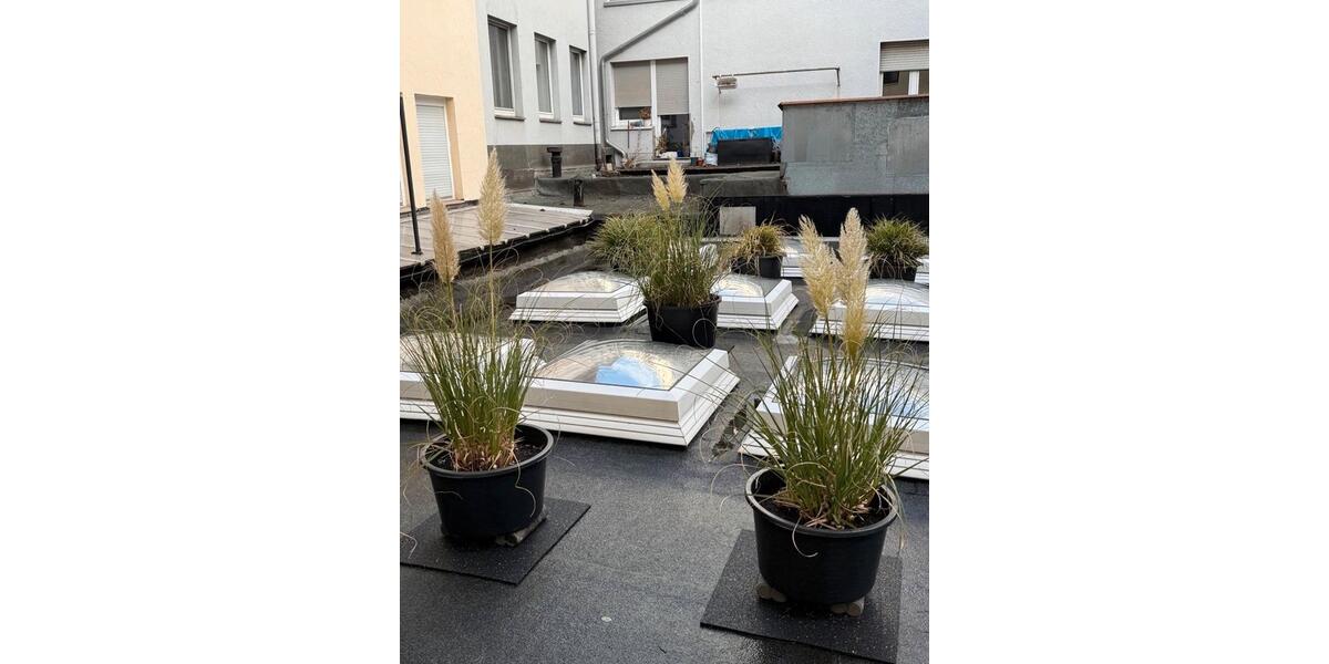 Etagenwohnung Siegen - 1 Zimmer, 46 m&sup2;, 850&euro; | Angebot:25898946