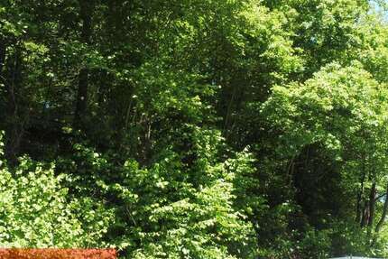 Grundstück Netphen - 59.000&euro; | Angebot:25204062