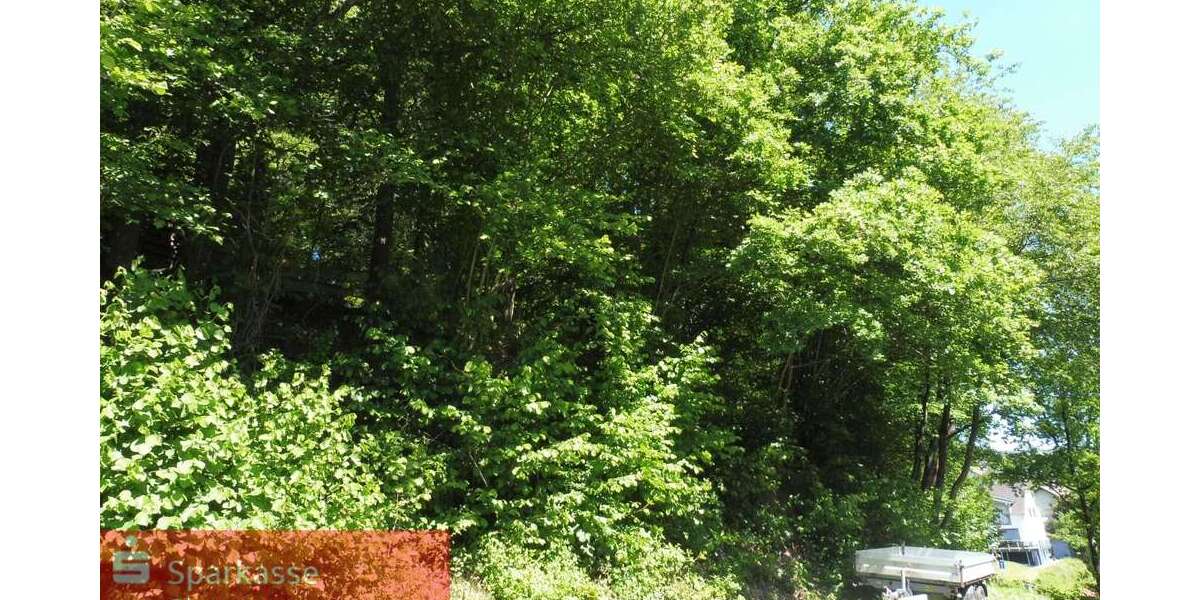 Grundstück Netphen - 59.000&euro; | Angebot:25204062