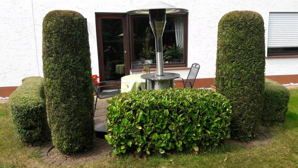 Terrassenwohnung Siegen Dillnhütten - 2 Zimmer, 62 m&sup2;, 700&euro; | Angebot:16056960