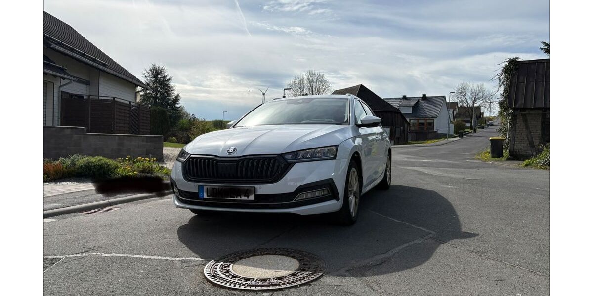 Skoda Octavia 164.200 km 15.200 &euro; Driedorf 35759