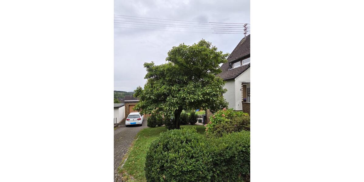 Einfamilienhaus Wissen - 5 Zimmer, 140 m&sup2;, 280.000&euro; | Angebot:25451483