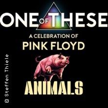 One Of These - A Celebration of Pink Floyd: Animals-Tour 06.11.2026 kulturWERKwissen