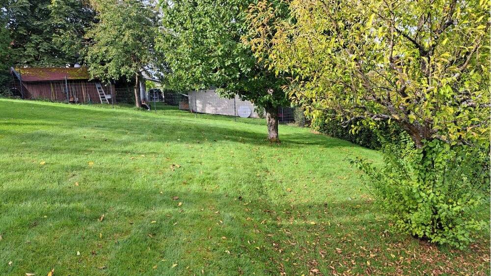 Grundstück Fensdorf - 45.000&euro; | Angebot:25698768