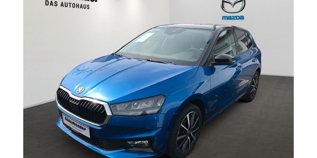 Skoda Fabia 49.900 km 16.990 &euro; Siegen 57076