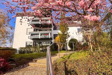 Haus Wissen - 2 Zimmer, 66 m&sup2;, 149.000&euro; | Angebot:26001431