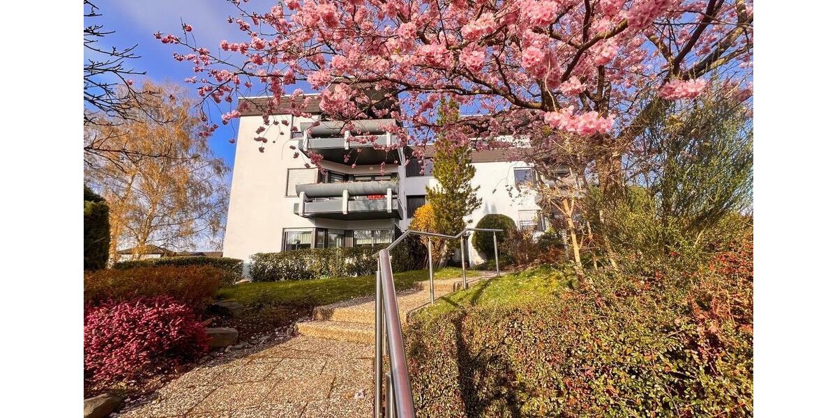 Mehrfamilienhaus, Wohnhaus Wissen - 2 Zimmer, 66 m&sup2;, 149.000&euro; | Angebot:26001431