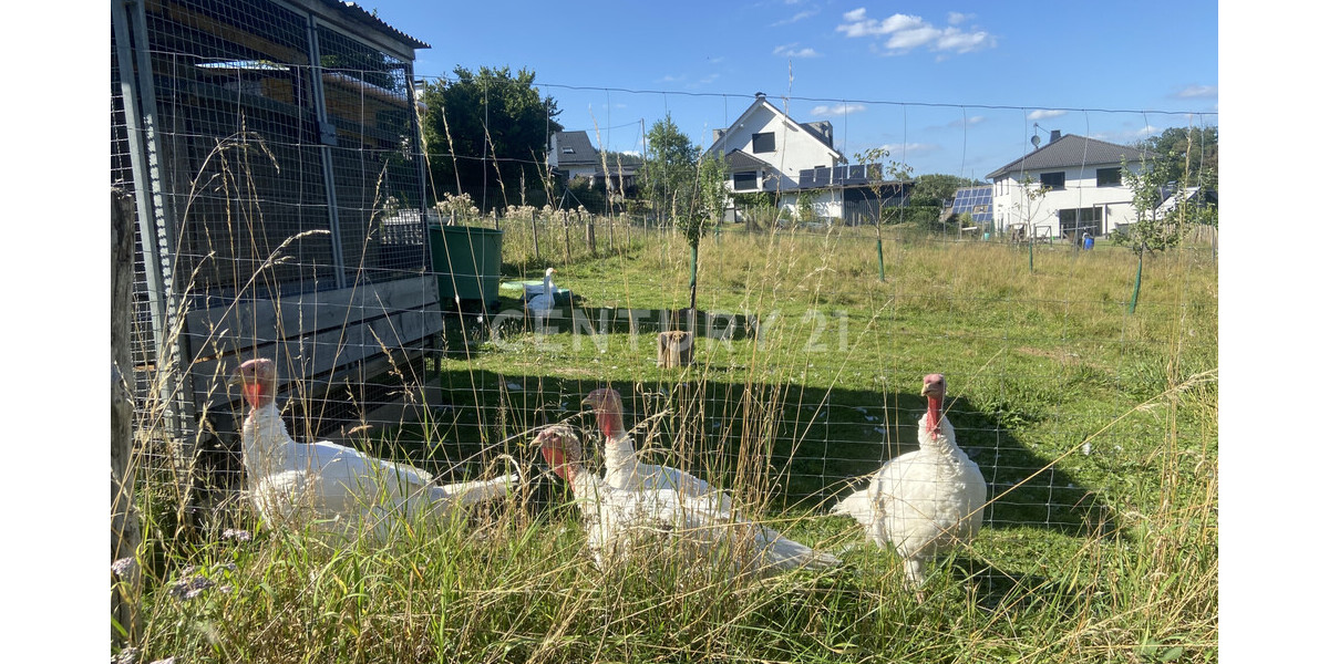 Landliebe pur! Historisches Fachwerkhaus im Herzen des Sauerlands! - Bauernhaus, Landhaus Kirchhundem | Angebot:22612644