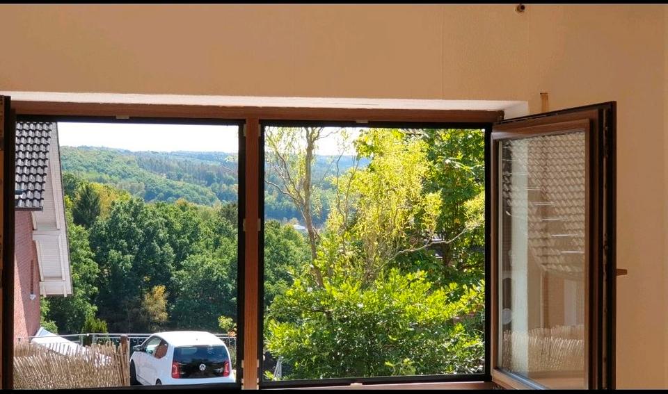 Erdgeschoßwohnung Daaden - 2 Zimmer, 63 m&sup2;, 540&euro; | Angebot:25824723