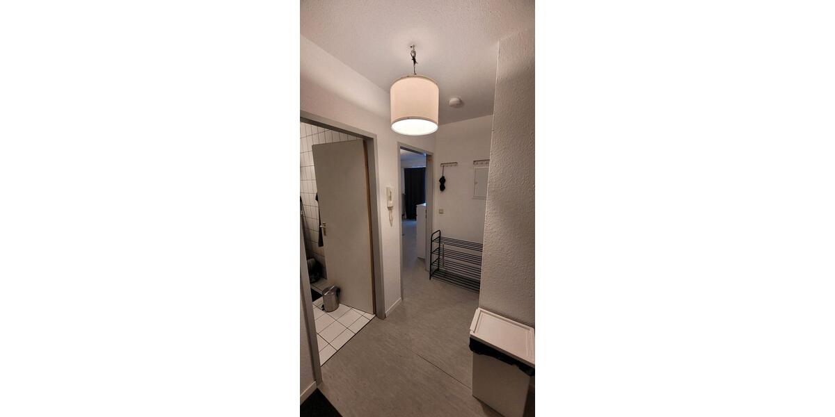 Erdgeschoßwohnung Siegen Dillnhütten - 2 Zimmer, 50 m&sup2;, 425&euro; | Angebot:25205242