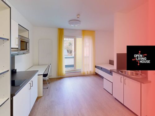 Etagenwohnung Siegen Kaan-Marienborn - 1 Zimmer, 23 m&sup2;, 370&euro; | Angebot:24573616