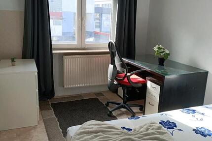 Wohnung Siegen - 1 Zimmer, 14 m&sup2;, 300&euro; | Angebot:25397403