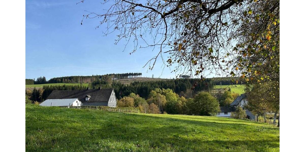 Grundstück Erndtebrück Birkelbach - 61.900&euro; | Angebot:25667523