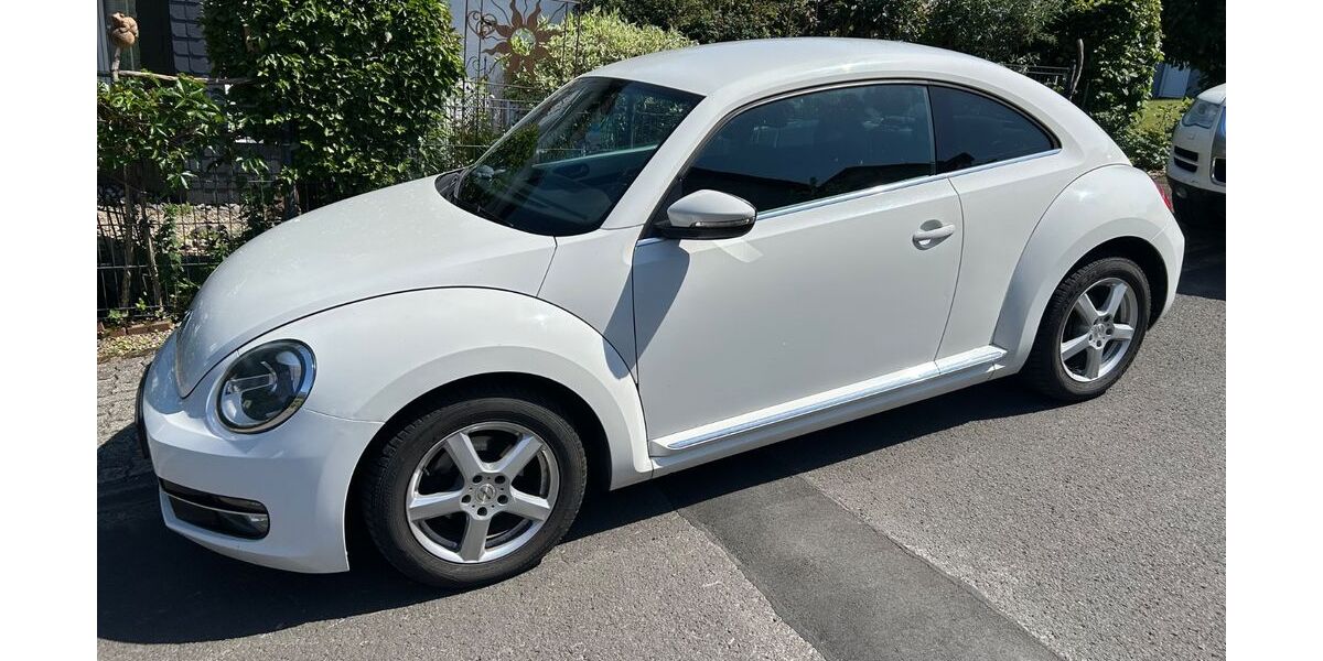 VW Beetle 143.000 km 6.000 &euro; Herdorf 57562