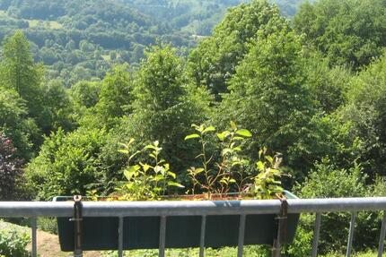 Wohnung Dillenburg - 3.5 Zimmer, 87 m&sup2;, 840&euro; | Angebot:26019510