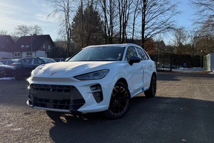 Cupra Terramar 8.000 km 47.990 &euro; Siegen 57072