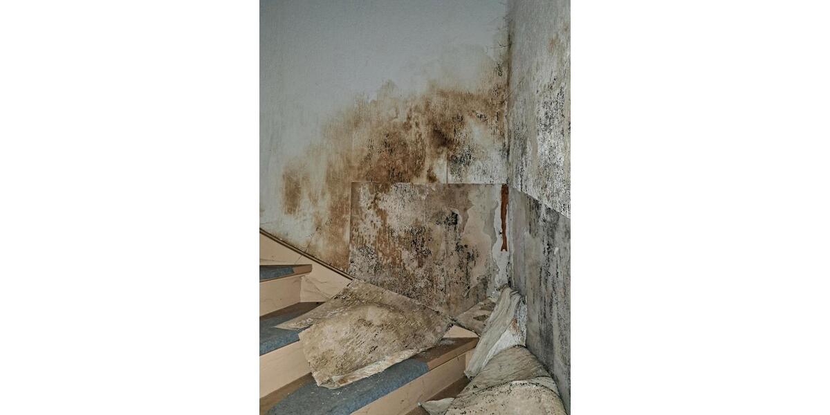 Einfamilienhaus Herborn - 13 Zimmer, 300 m&sup2;, 175.000&euro; | Angebot:25957476