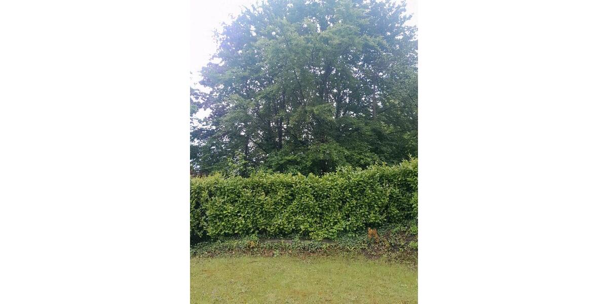 Einfamilienhaus Pracht - 3 Zimmer, 90 m&sup2;, 900&euro; | Angebot:26663617