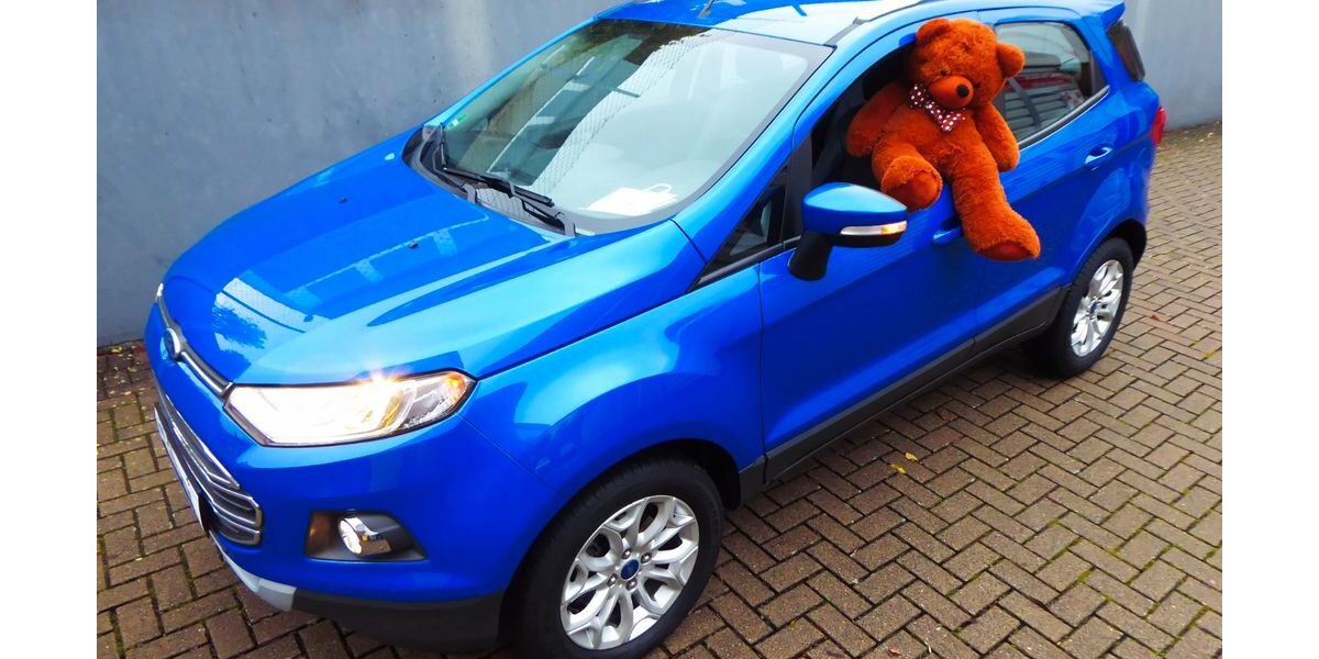 Ford EcoSport 47.600 km 9.899 &euro; Kreuztal-Krombach 57223