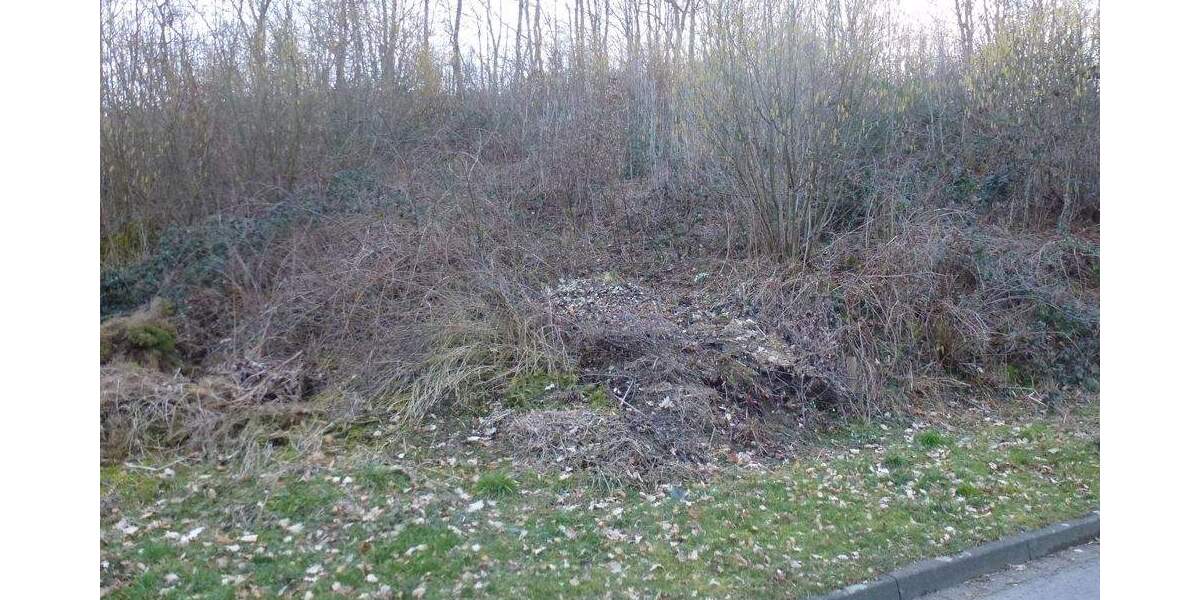 Grundstück Reichshof / Brüchermühle Brüchermühle - 54.000&euro; | Angebot:25801438