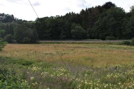 Grundstück Steinebach - 25.245&euro; | Angebot:25203722