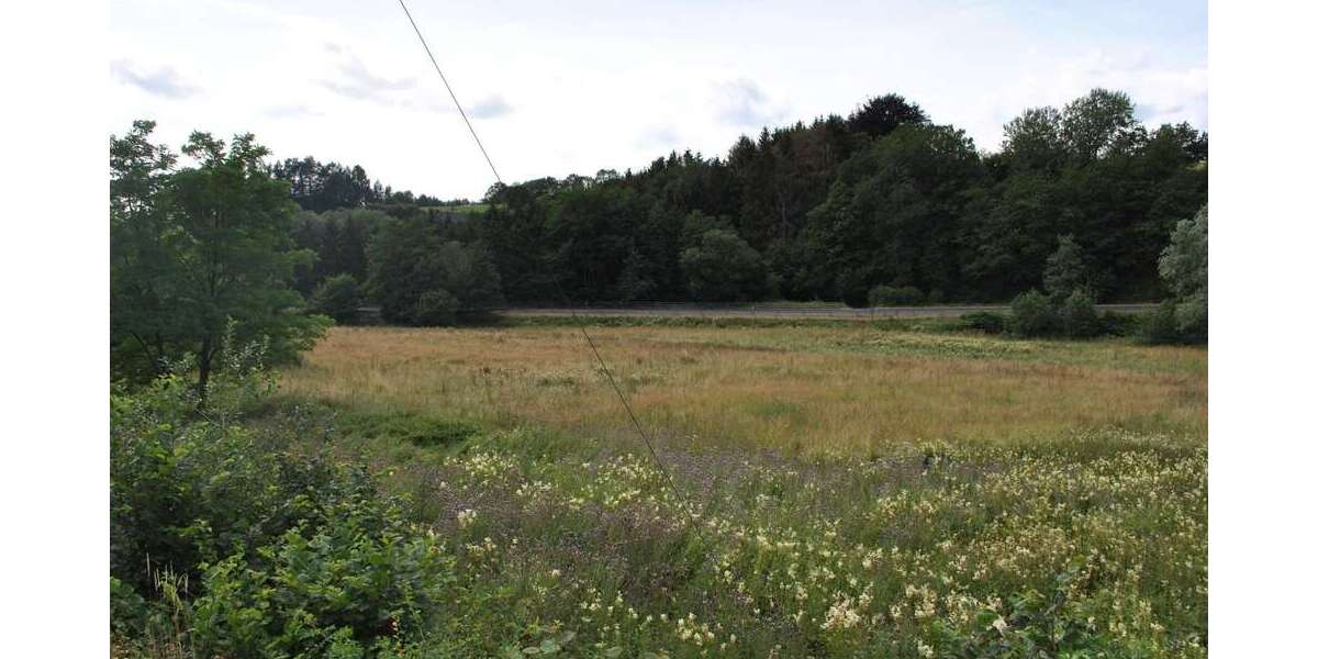 Grundstück Steinebach - 25.245&euro; | Angebot:25203722