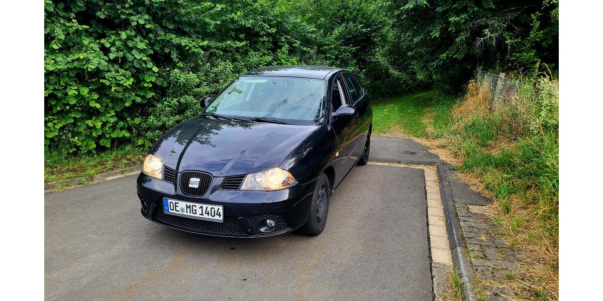 Seat Ibiza 175.346 km 2.000 &euro; Wenden 57482
