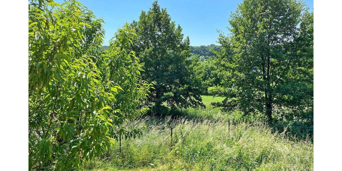 Einfamilienhaus Hamm VG - 3 Zimmer, 79 m&sup2;, 135.000&euro; | Angebot:25800770