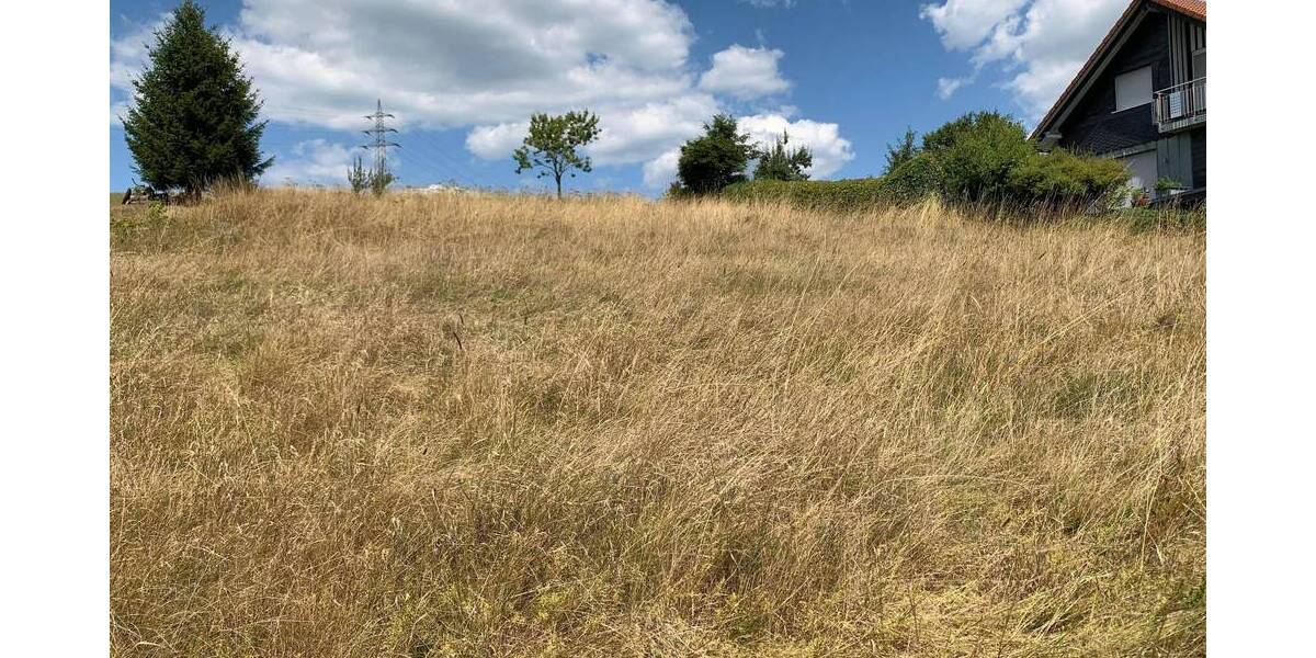 Grundstück Erndtebrück Schameder - 39.500&euro; | Angebot:25667520