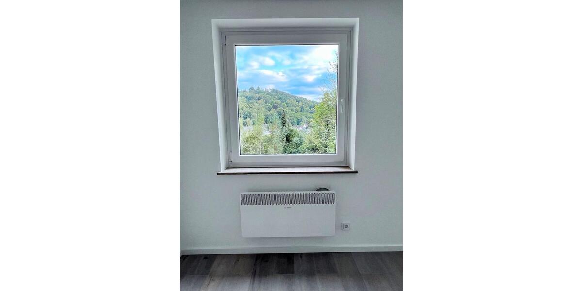 Etagenwohnung Siegen Kaan-Marienborn - 1 Zimmer, 40 m&sup2;, 550&euro; | Angebot:26044704