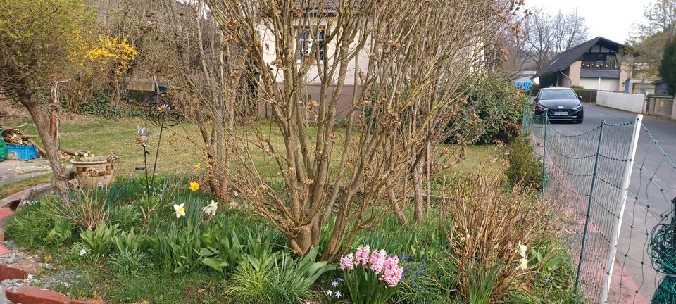 Einfamilienhaus Scheuerfeld - 3 Zimmer, 80 m&sup2;, 850&euro; | Angebot:25172916