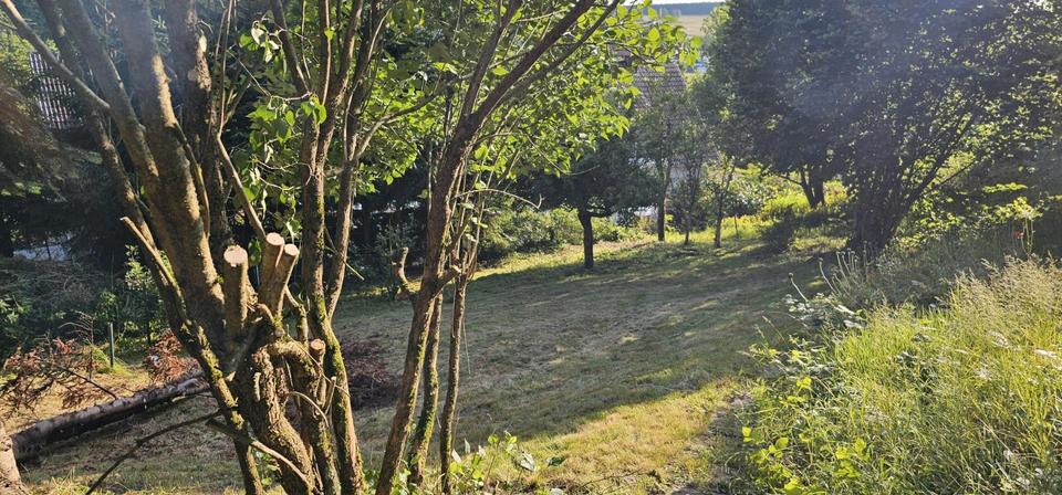 Einfamilienhaus Wilnsdorf - 5 Zimmer, 137 m&sup2;, 280.000&euro; | Angebot:25611969