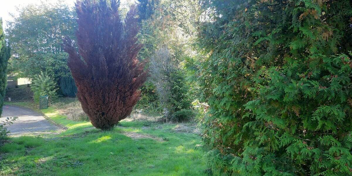 Grundstück Waldbröl - 120.000&euro; | Angebot:25735473