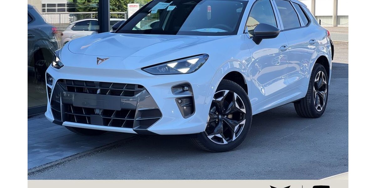 Cupra Terramar 4.500 km 42.990 &euro; Wenden 57482