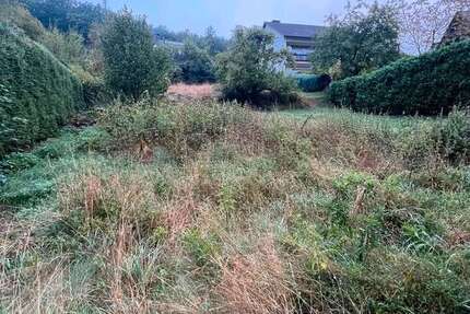 Grundstück zu verkaufen in Netphen Grissenbach 129.000 € 660 m² - Grundstück Netphen / Grissenbach Grissenbach | Angebot:27338562