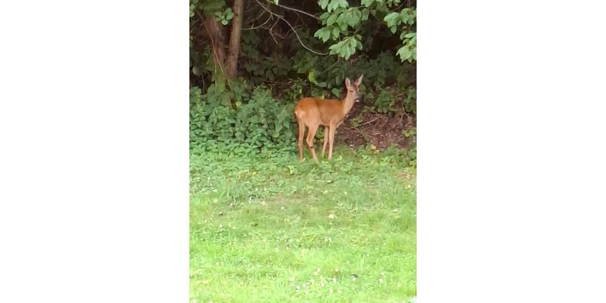 Maisonettenwohnung Freudenberg - 6 Zimmer, 173 m&sup2;, 435.800&euro; | Angebot:24741795