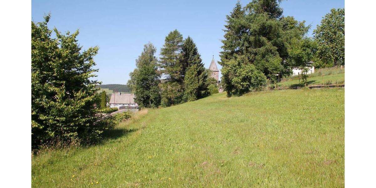 Grundstück Erndtebrück Birkelbach - 20.000&euro; | Angebot:25667714