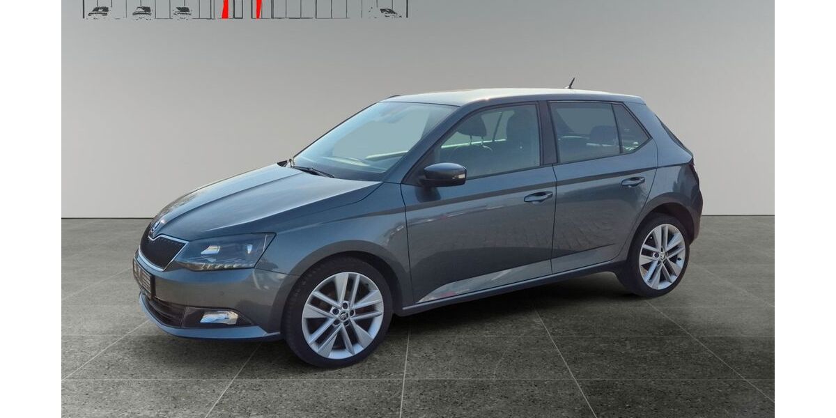 Skoda Fabia 128.500 km 9.490 &euro; Hof 56472