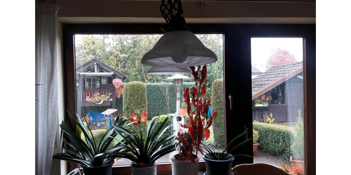 Terrassenwohnung Siegen Dillnhütten - 2 Zimmer, 62 m&sup2;, 700&euro; | Angebot:16056960