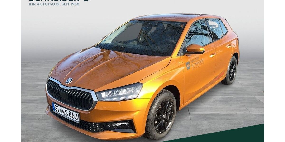 Skoda Fabia 5.000 km 17.690 &euro; Siegen 57076