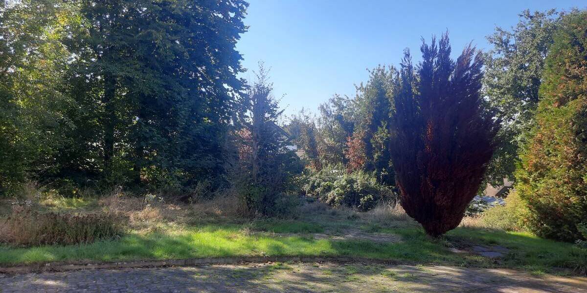 Einfamilienhaus Waldbröl - 6 Zimmer, 196 m&sup2;, 570.000&euro; | Angebot:25735474