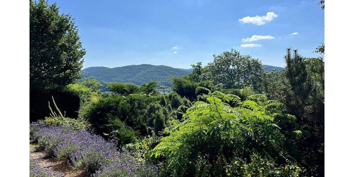 Einfamilienhaus Dillenburg - 7 Zimmer, 131 m&sup2;, 369.000&euro; | Angebot:25667771