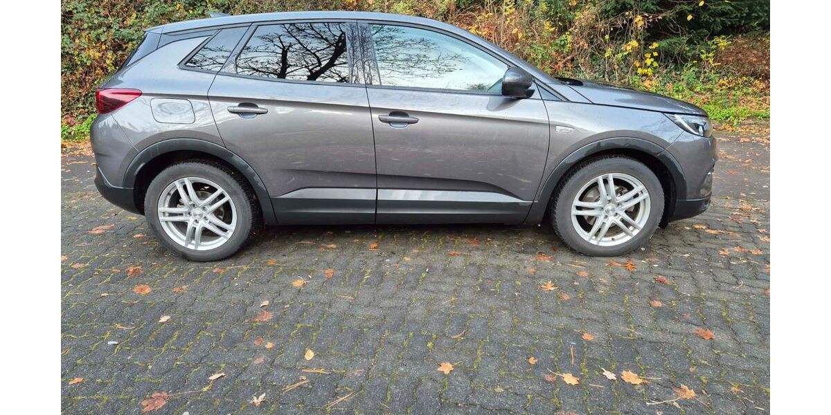 Opel Grandland (X) 70.800 km 14.400 &euro; Schutzbach 57520