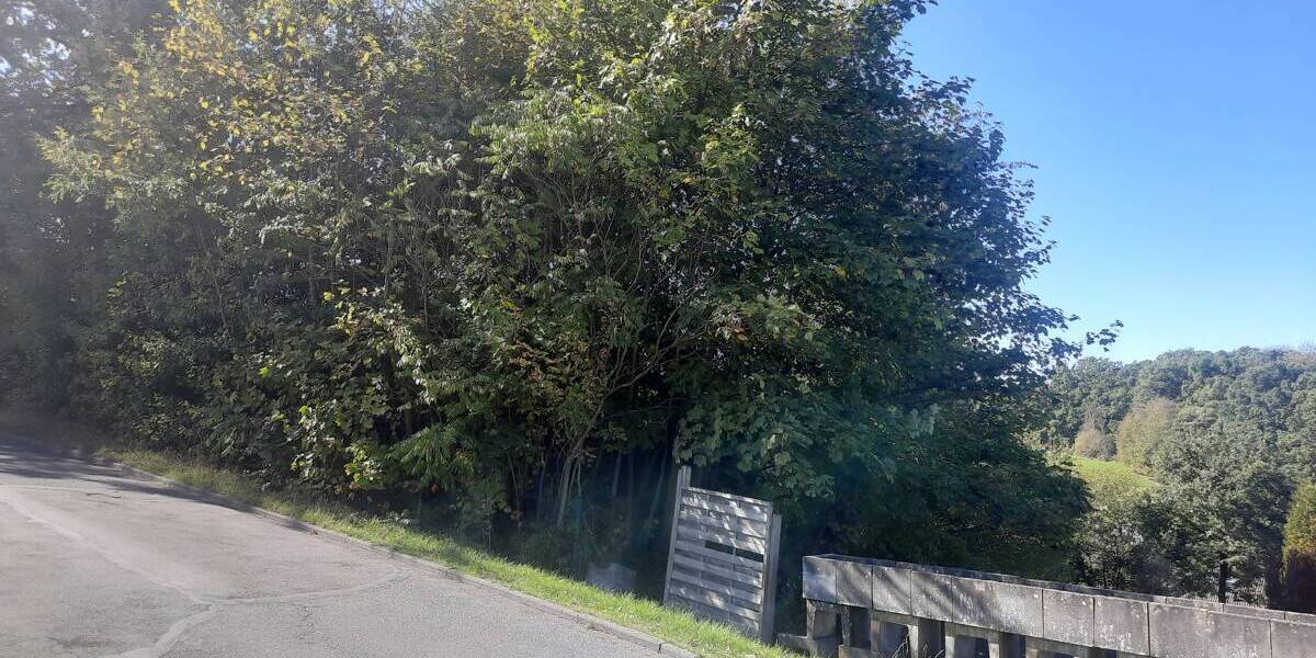 Einfamilienhaus Waldbröl - 6 Zimmer, 196 m&sup2;, 570.000&euro; | Angebot:25735474