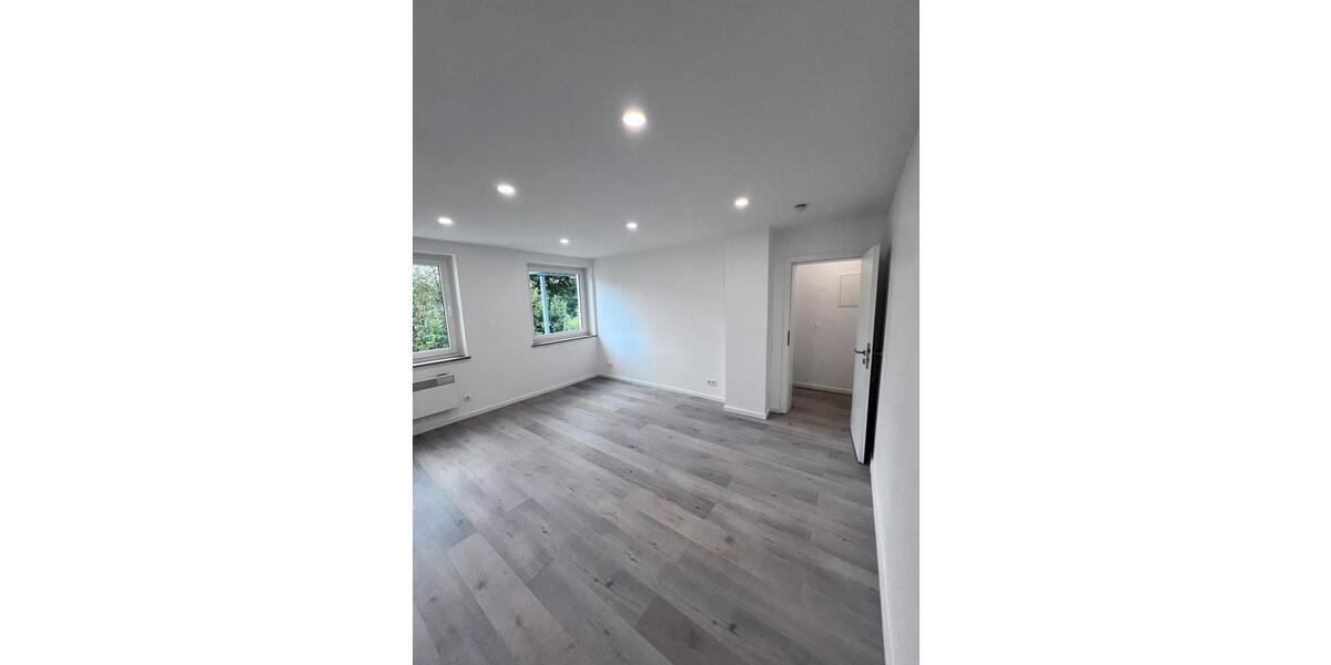 Etagenwohnung Siegen Kaan-Marienborn - 1 Zimmer, 40 m&sup2;, 550&euro; | Angebot:26044704